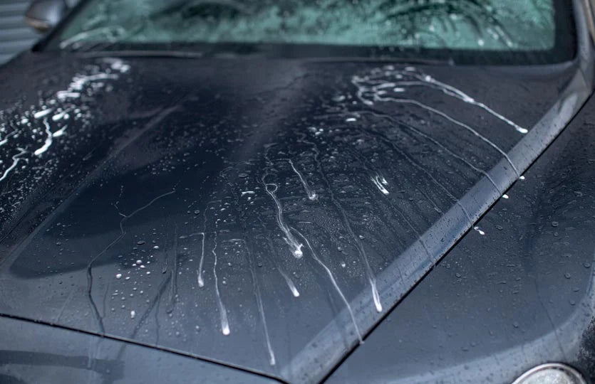 Drying Aids & Wet Coatings