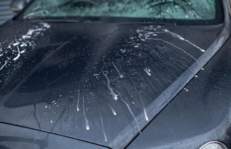 Drying Aids & Wet Coatings